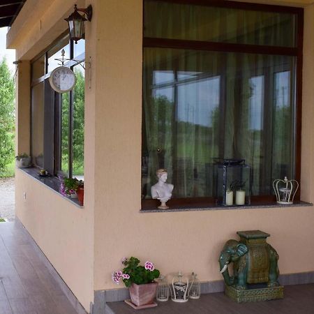 Pensiunea Flora Cicir Ngoại thất bức ảnh